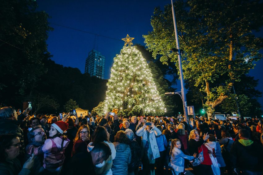 Leia Encendido del Árbol Navideño con música, Papá Noel y actividades para toda la familia  