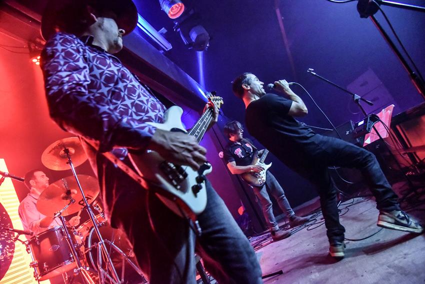 LOS GAVIOTAS HOMENAJEAN A SANDRO CON «TENGO»