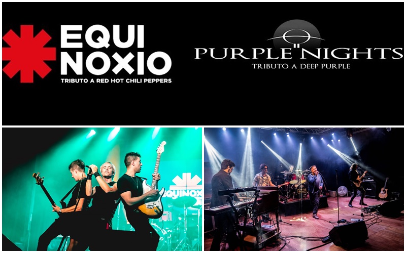 PRIMER SHOW DEL AÑO EN ABBEY ROAD «EQUINOXIO Y PURPLE NIGHTS»