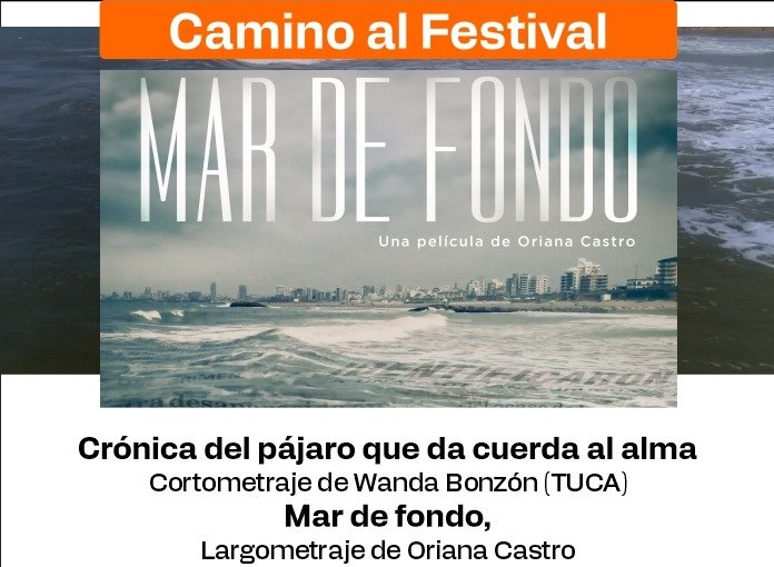Camino al Festival: cine local con entrada libre y gratuita