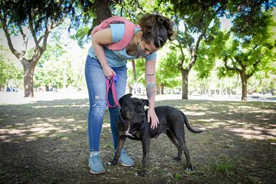  Cronograma para la vacunación antirrábica y para el quirófano móvil de animales