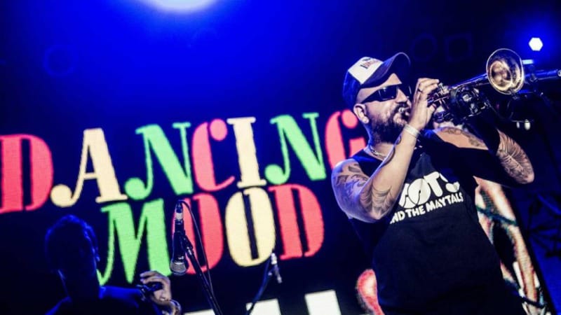 Dancing Mood vuelve a Mar del Plata en una noche a puro ska, reggae y jazz