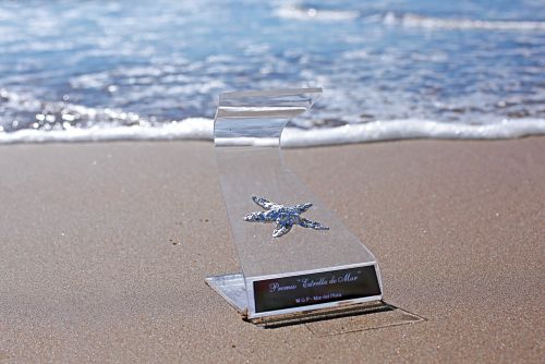 Premios Estrella de Mar más de 110 espectáculos inscriptos