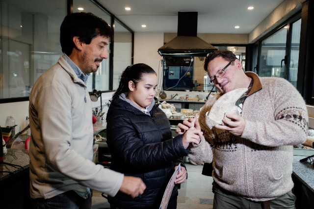 Una adolescente encontró otro fósil, el cual ya está en el Museo de Ciencias Naturales 